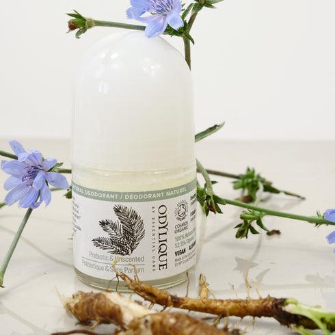 Odylique 低敏益生無香止汗劑 Prebiotic Unscented Natural Deodorant