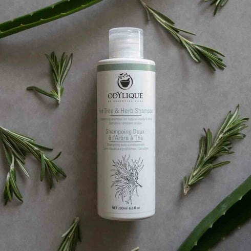 Odylique 茶樹草本洗髮露 Tea Tree & Herb Shampoo