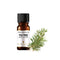 Amphora Aromatics 茶樹精油 Tea Tree Oil